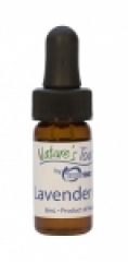 Lavender Oil, 8 Milliliters||LAV-108.00