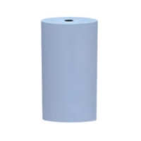 Unmounted Silicone Polisher, Large Cylinder, Light Blue, Fine Grit, 12 Pack||POL-325.30