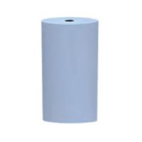 Unmounted Silicone Polisher, Large Cylinder, Light Blue, Fine Grit, 100 Pack||POL-326.30